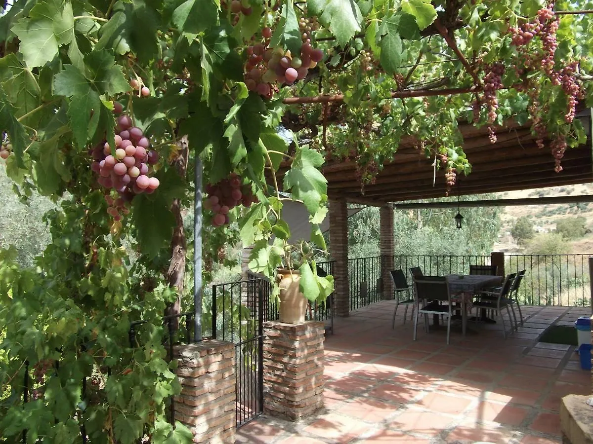 Сasa de vacaciones El Olivo Comares Villa
