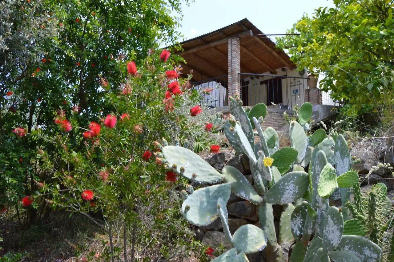 Сasa de vacaciones El Olivo Comares Villa España