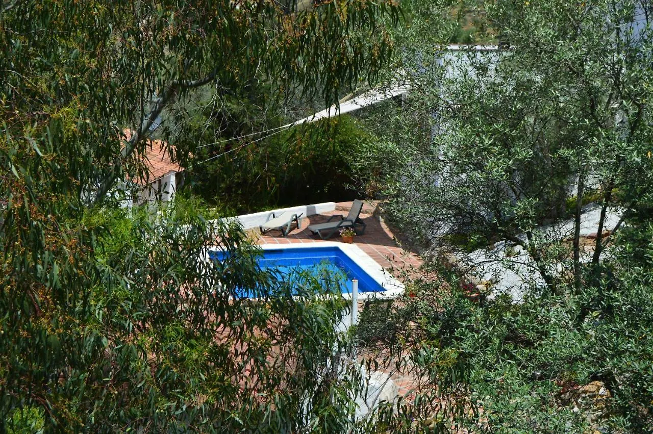 El Olivo Comares Villa Сasa de vacaciones